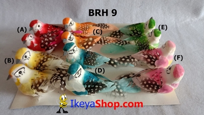 large2 BRH 9 c